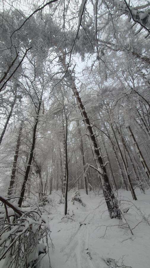 Фермерський будинок Agroturystyka Salamander *