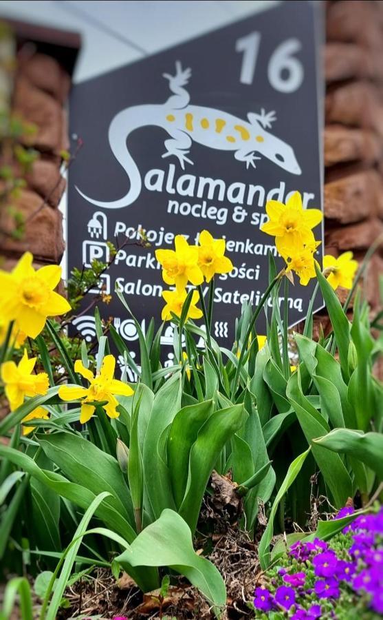 Фермерський будинок Agroturystyka Salamander Rymanow